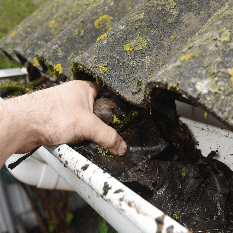 Gutters in Rockwall, TX Gutters in Rockwall, TX